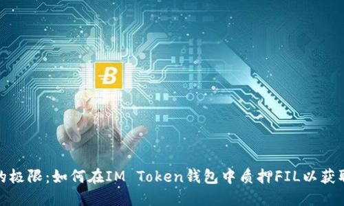 挑战收益的极限：如何在IM Token钱包中质押FIL以获取被动收入