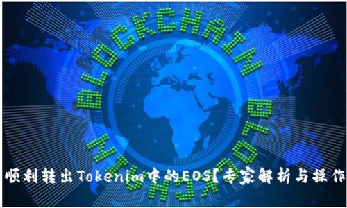 如何顺利转出Tokenim中的EOS？专家解析与操作指南