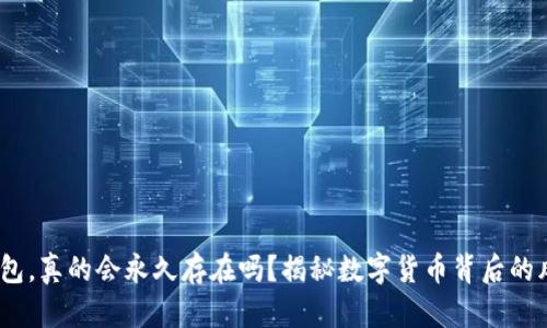 TokenIM钱包，真的会永久存在吗？揭秘数字货币背后的风险与挑战！