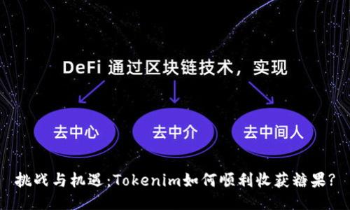 挑战与机遇：Tokenim如何顺利收获糖果?