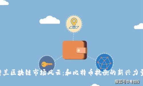 荷兰区块链市场风云：和比特币抗衡的新兴力量！