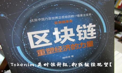 Tokenim：是时候升级，抑或继续观望？