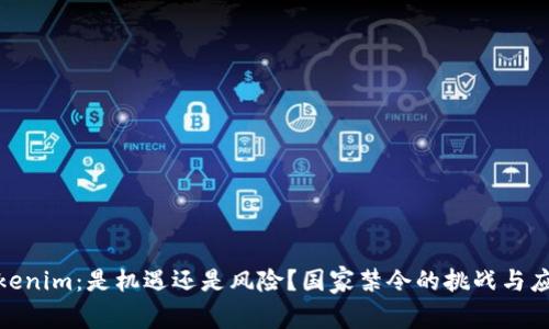 Tokenim：是机遇还是风险？国家禁令的挑战与应对