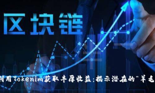 如何利用Tokenim获取丰厚收益：揭示潜在的“羊毛”机会