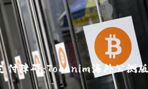 打破传统支付障碍：Tokenim海外公测版即将来袭！