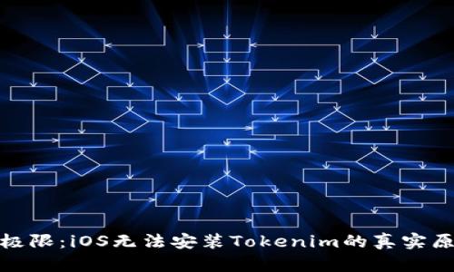 挑战你的技术极限：iOS无法安装Tokenim的真实原因与解决方案
