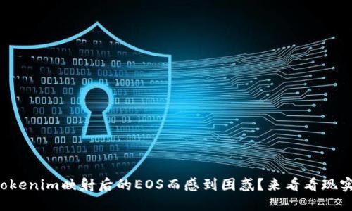 你是否在为Tokenim映射后的EOS而感到困惑？来看看现实的解决之道！