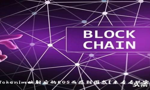 你是否在为Tokenim映射后的EOS而感到困惑？来看看现实的解决之道！