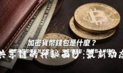 揭开区块链共享链的神秘面纱：最新动态与未来