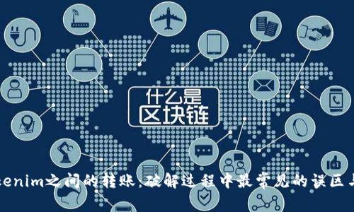 中币与Tokenim之间的转账：破解过程中最常见的误区与解决方案