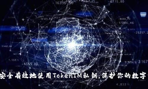 如何安全有效地使用TokenIM私钥，保护你的数字资产？