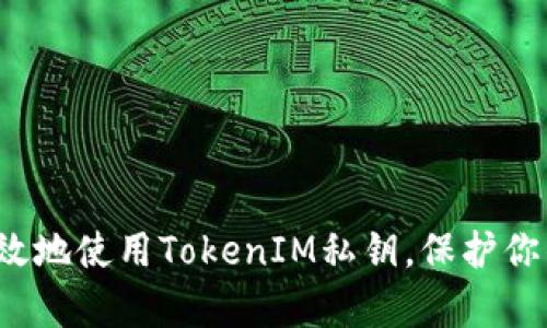 如何安全有效地使用TokenIM私钥，保护你的数字资产？