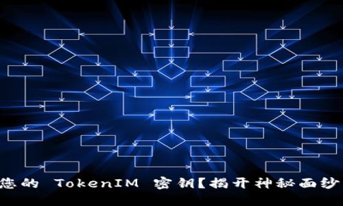 如何找到您的 TokenIM 密钥？揭开神秘面纱，轻松获取