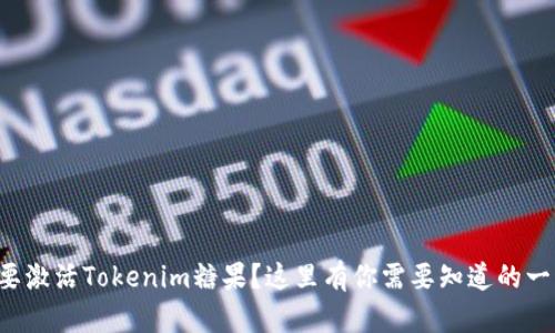 想要激活Tokenim糖果？这里有你需要知道的一切！
