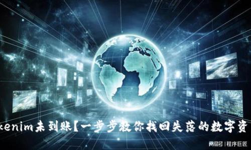 Tokenim未到账？一步步教你找回失落的数字资产！