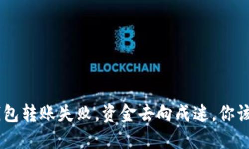 Tokenim钱包转账失败，资金去向成迷，你该如何自救？