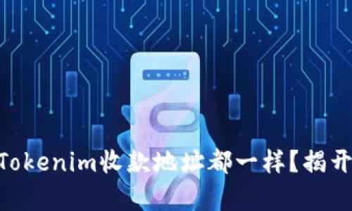 ruby为什么Tokenim收款地址都一样？揭开背后的秘密！