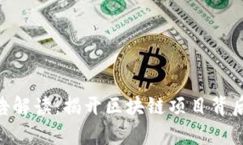 tokenim公告解读：揭开区块链项目背后的真实意图