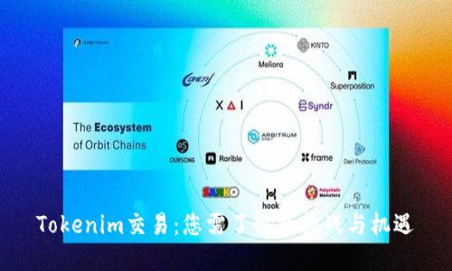 Tokenim交易：您需了解的挑战与机遇