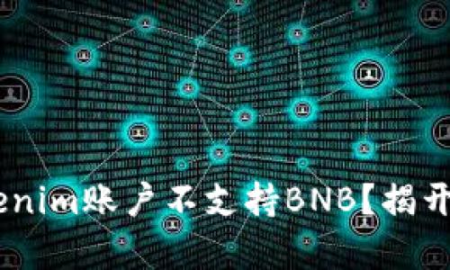 为什么你的Tokenim账户不支持BNB？揭开真相，破解误区！