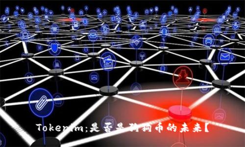 Tokenim：是否是狗狗币的未来？