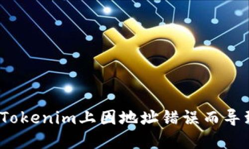如何避免在Tokenim上因地址错误而导致资产丢失？