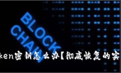 丢失Token密钥怎么办？彻底恢复的实用攻略！