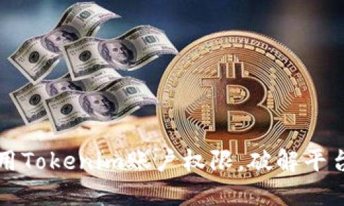 如何充分利用Tokenim账户权限，破解平台使用的潜力