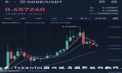 把握未来：Tokenim国内版与国际版的挑战与机遇