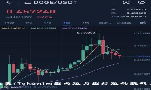 把握未来：Tokenim国内版与国际版的挑战与机遇