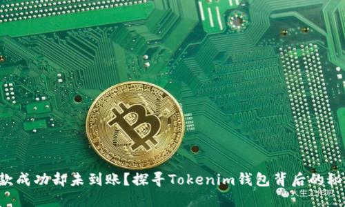 付款成功却未到账？探寻Tokenim钱包背后的秘密！