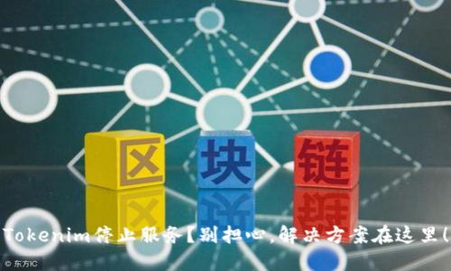 Tokenim停止服务？别担心，解决方案在这里！