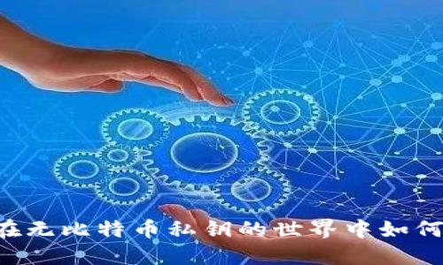 Tokenim：在无比特币私钥的世界中如何确保安全？