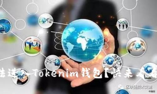 狗狗币无法进入Tokenim钱包？快来看看解决方案！