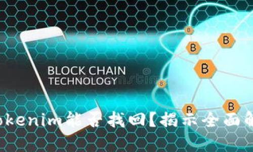 失去的Tokenim能否找回？揭示全面解决方案！