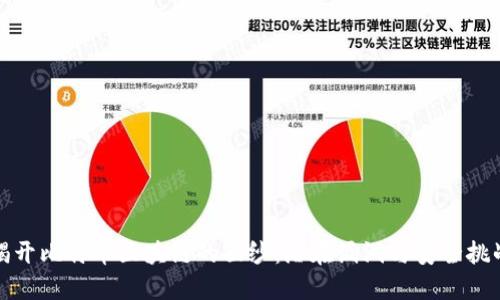 揭开比特币区块链的面纱：潜在漏洞与安全挑战