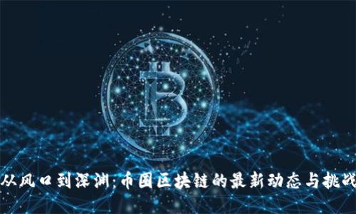 从风口到深渊：币圈区块链的最新动态与挑战