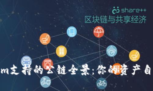Tokenim支持的公链全景：你的资产自由之路