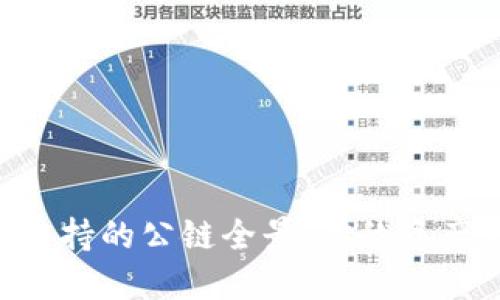 Tokenim支持的公链全景：你的资产自由之路