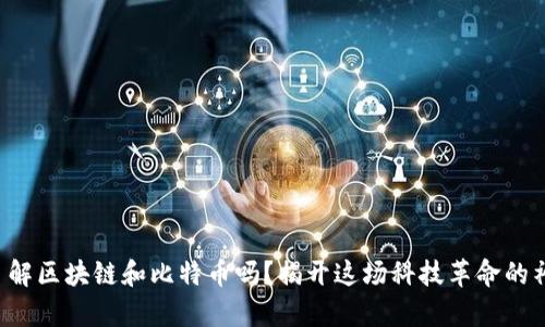 你真的了解区块链和比特币吗？揭开这场科技革命的神秘面纱！
