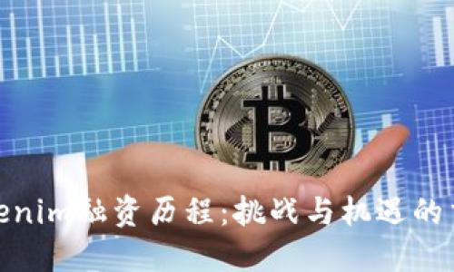 Tokenim融资历程：挑战与机遇的交锋