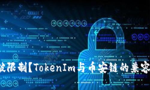 如何突破限制？TokenIm与币安链的兼容性挑战！
