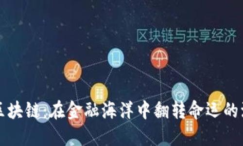 鲨鱼币区块链：在金融海洋中翻转命运的波涛挑战