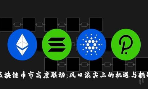 区块链币市高度联动：风口浪尖上的机遇与挑战