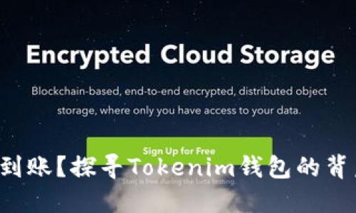 提币未到账？探寻Tokenim钱包的背后秘密！
