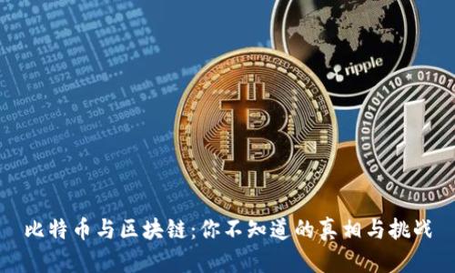 比特币与区块链：你不知道的真相与挑战