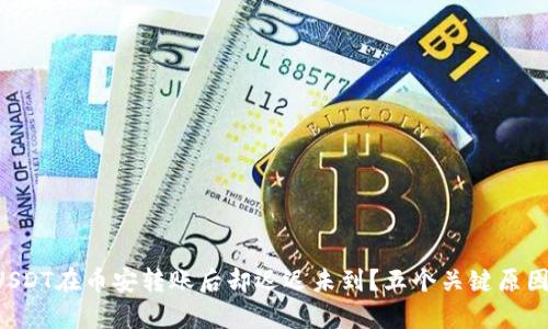 为何你的USDT在币安转账后却迟迟未到？五个关键原因揭示真相！