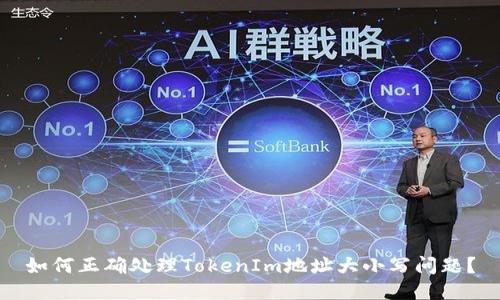 如何正确处理TokenIm地址大小写问题？