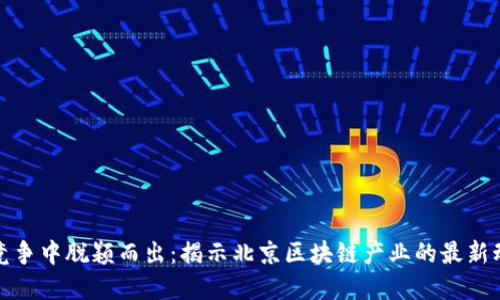 在竞争中脱颖而出：揭示北京区块链产业的最新动态