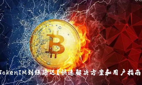 TokenIM到账延迟？快速解决方案和用户指南！